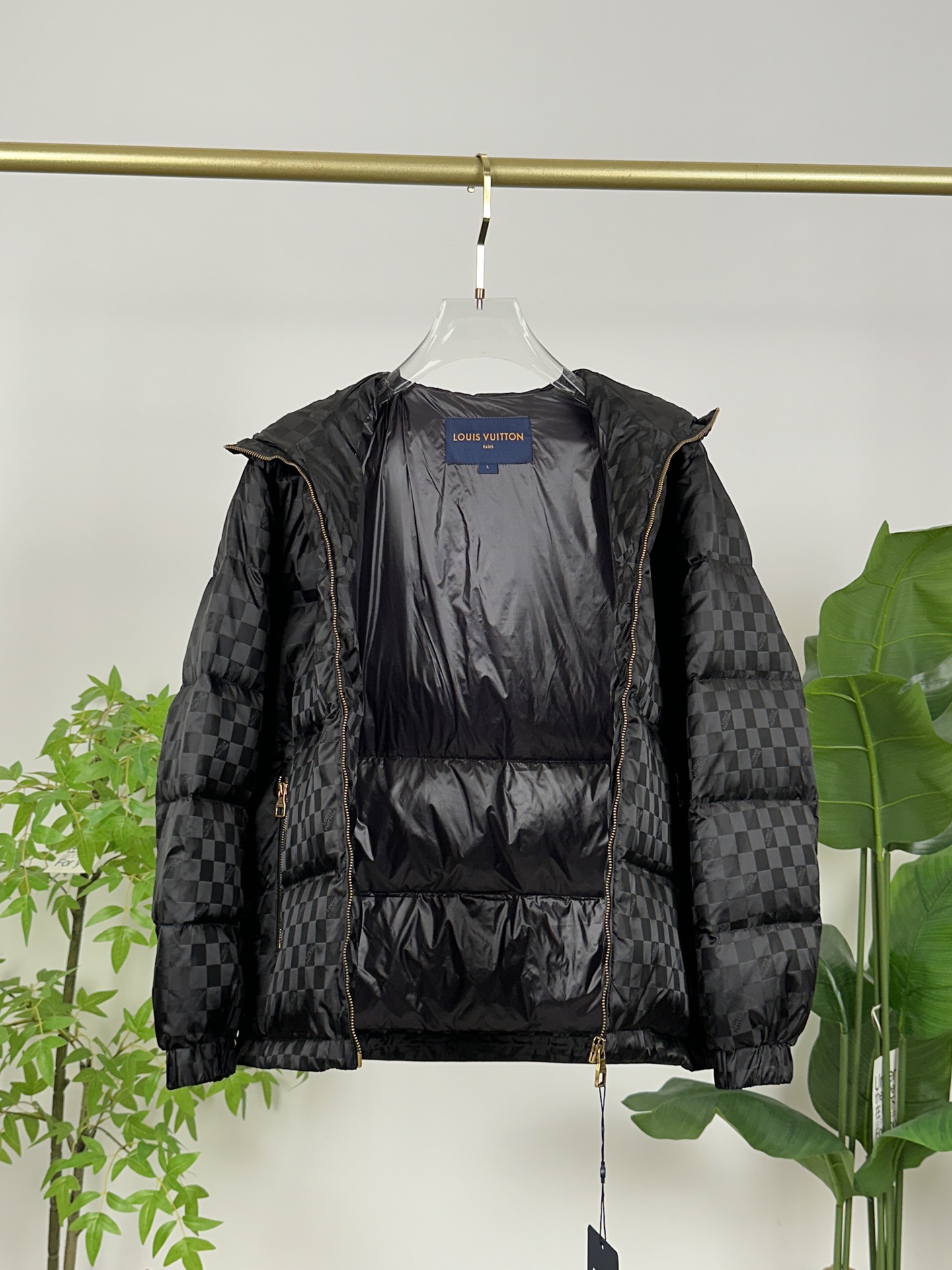 Louis Vuitton Down Jackets